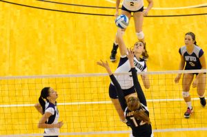 Winonan - Volleyball 01