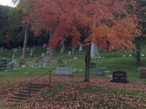 Woodlawn Cemetery is home to more than 22,000 graves.  SAMANTHA STETZER