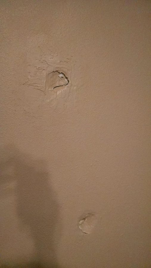 Tenants unsuccessfully tried to repair damage caused during their lease. According to local landlord Bob Wick, professionals were eventually called into fix the holes.