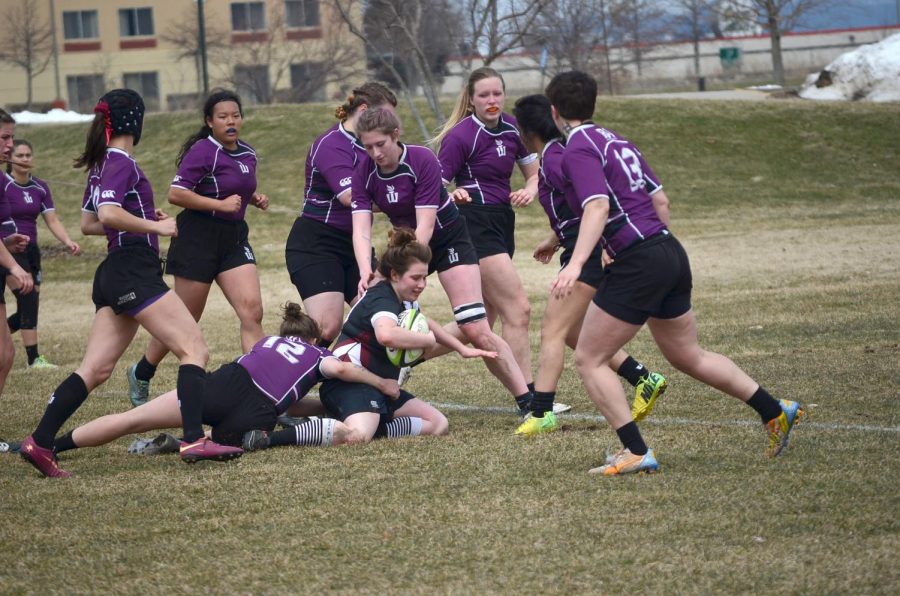 Players on the Winona State Women’s Rugby team go in to tackle a player from La Crosse at a match last spring, the Black Katts are moving from Division one to Division two this year.