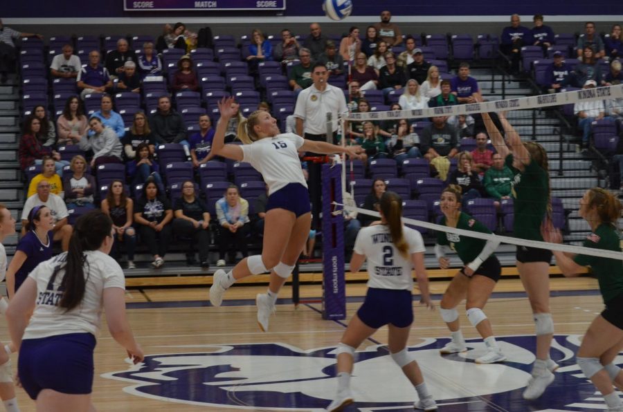 Sophomore middle blocker Madison Rizner spikes the ball against the Bemidji State Beavers on Friday, Sept. 27 in McCown Gymnasium. The Warriors won back-to-back games over the weekend, scoring 3-1 against Bemidji and 3-0 against the University of Minnesota Crookston.