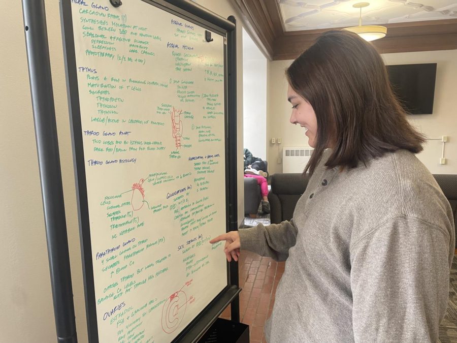 First-year nursing student Phoebe DeBates uses a whiteboard to study topics as a productive method she uses to study. Taking breaks and seeking meaningful activities to do every day helps her cope with stress with a heavy course load.