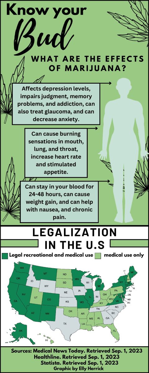 What are the effects of Marijuana? 