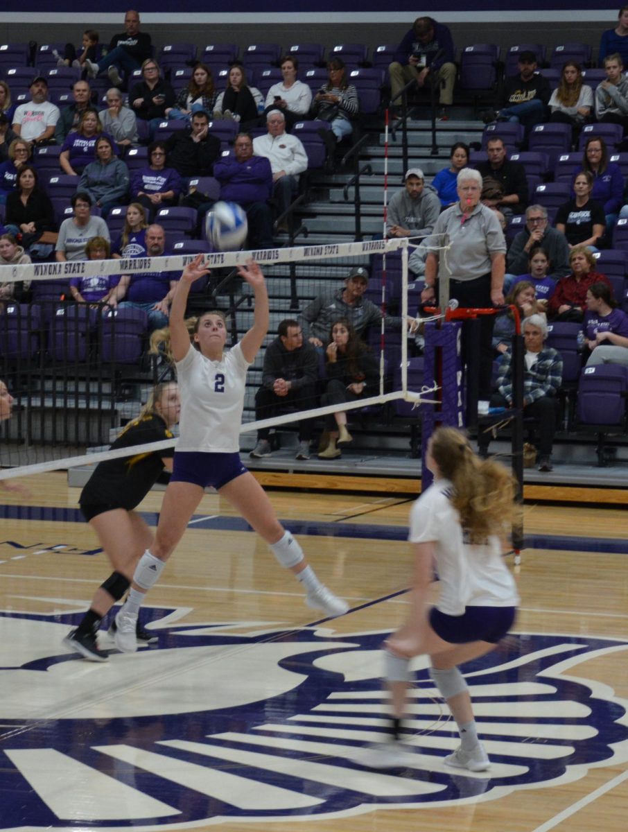 Second year setter/defensive specialist Jaci Winchell setting the ball.