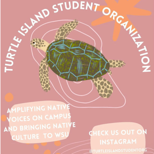 Learn more information about the club on Instagram @turtleisland- studentorg! 