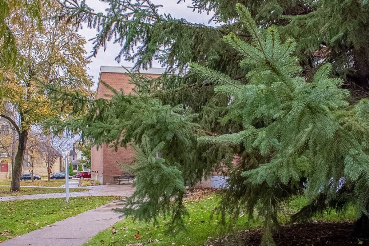 A campus flourishing with flora, Winona State has been deemed one of the greenest colleges in the nation. 