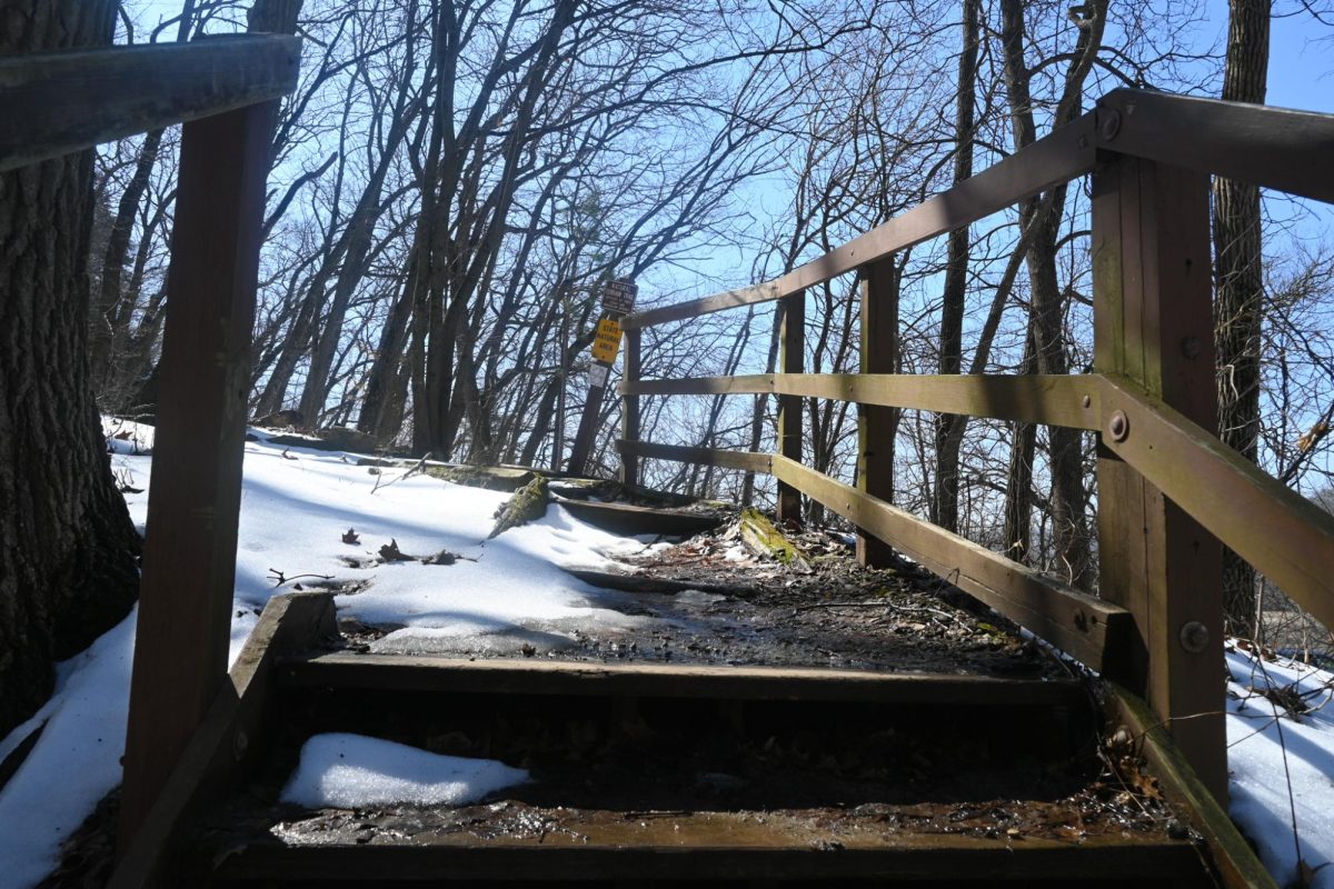The Brady’s Bluff entrance is marked, and there is parking available just outside the trailhead.  When the snow melts and conditions aren’t muddy, this trail is a must-do this spring. This trail also will be fun to do with others or a pet. 