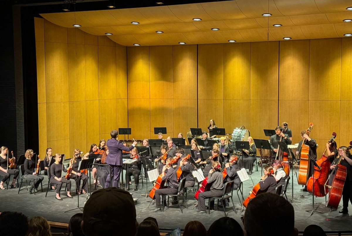 Winona State orchestra students put on a free concert for all to see. 